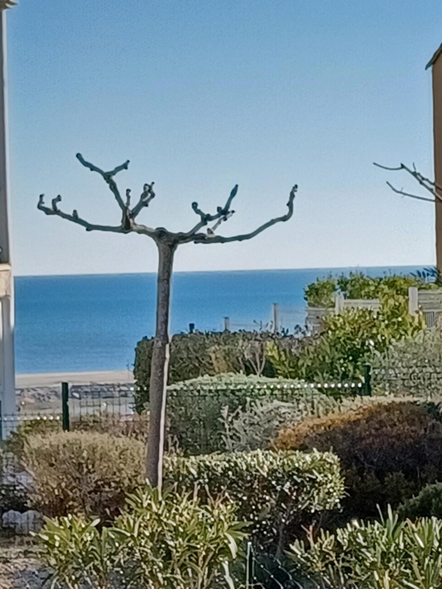 Plain-Pied Jardin 6 Personnes Clim Vue Mer Parking Wifi Terrasse Piscine Dans La Residence Saint-Pierre-la-Mer  Экстерьер фото
